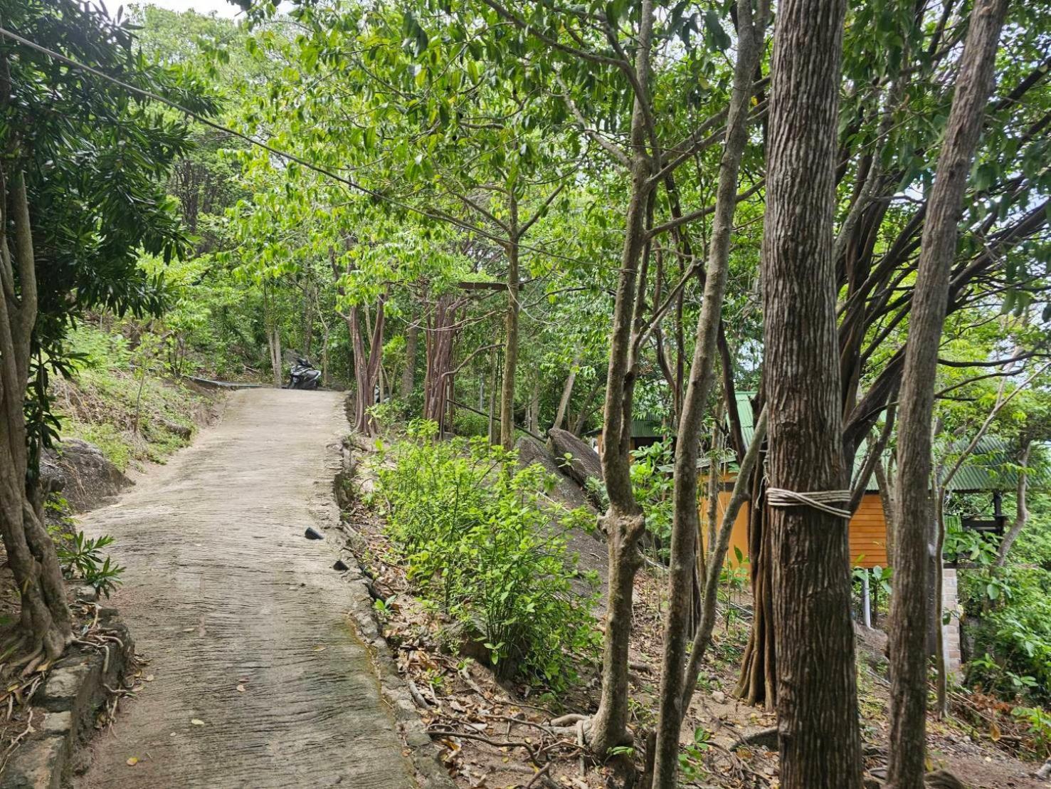 Tao Thong Villa 2 كو تاو المظهر الخارجي الصورة